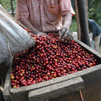 Antigua SHB Los Volcanes Guatemala