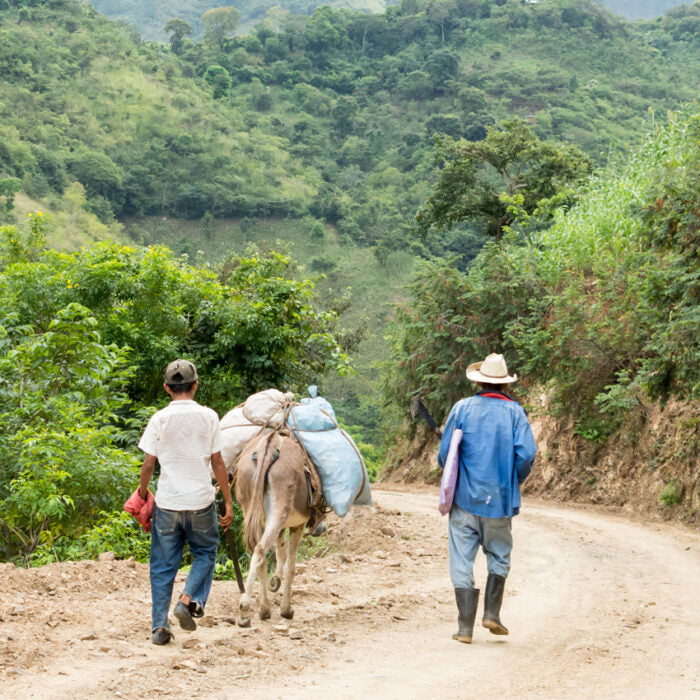 Antigua SHB Los Volcanes Guatemala