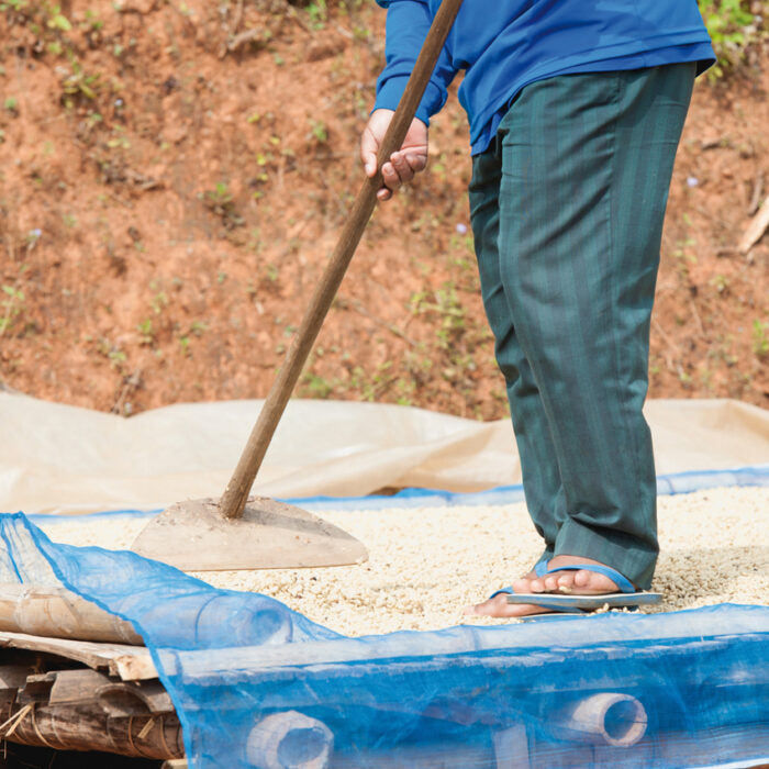 Bio Fairkaffee Arabica Grade 1 – Peru