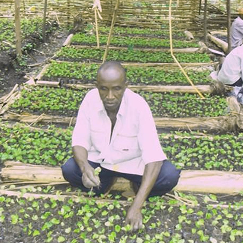 Bio Fair Kaffee Bukonzo Uganda Bukonzo Joint Cooperative Micro Finance Society Ltd