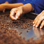 Espresso Della Casa / Goldmedaille Deutsche Röstergilde (30% Robusta)