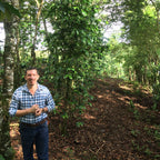 Bio Meámbar Roter Catuai – Honduras / Goldmedaille Deutsche Röstergilde 2023