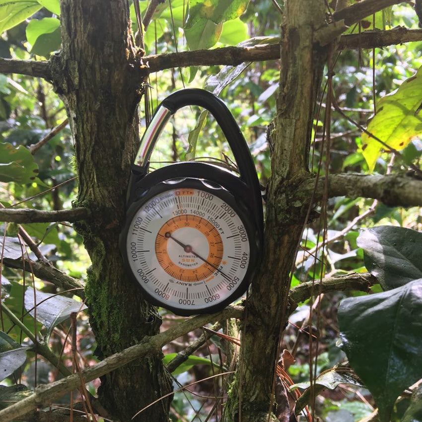 Bio Meámbar Roter Catuai – Honduras / Goldmedaille Deutsche Röstergilde 2023