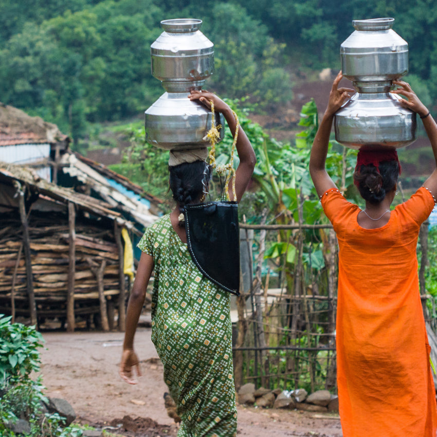 Monsooned Malabar AA – Indien