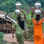 Monsooned Malabar AA – Indien