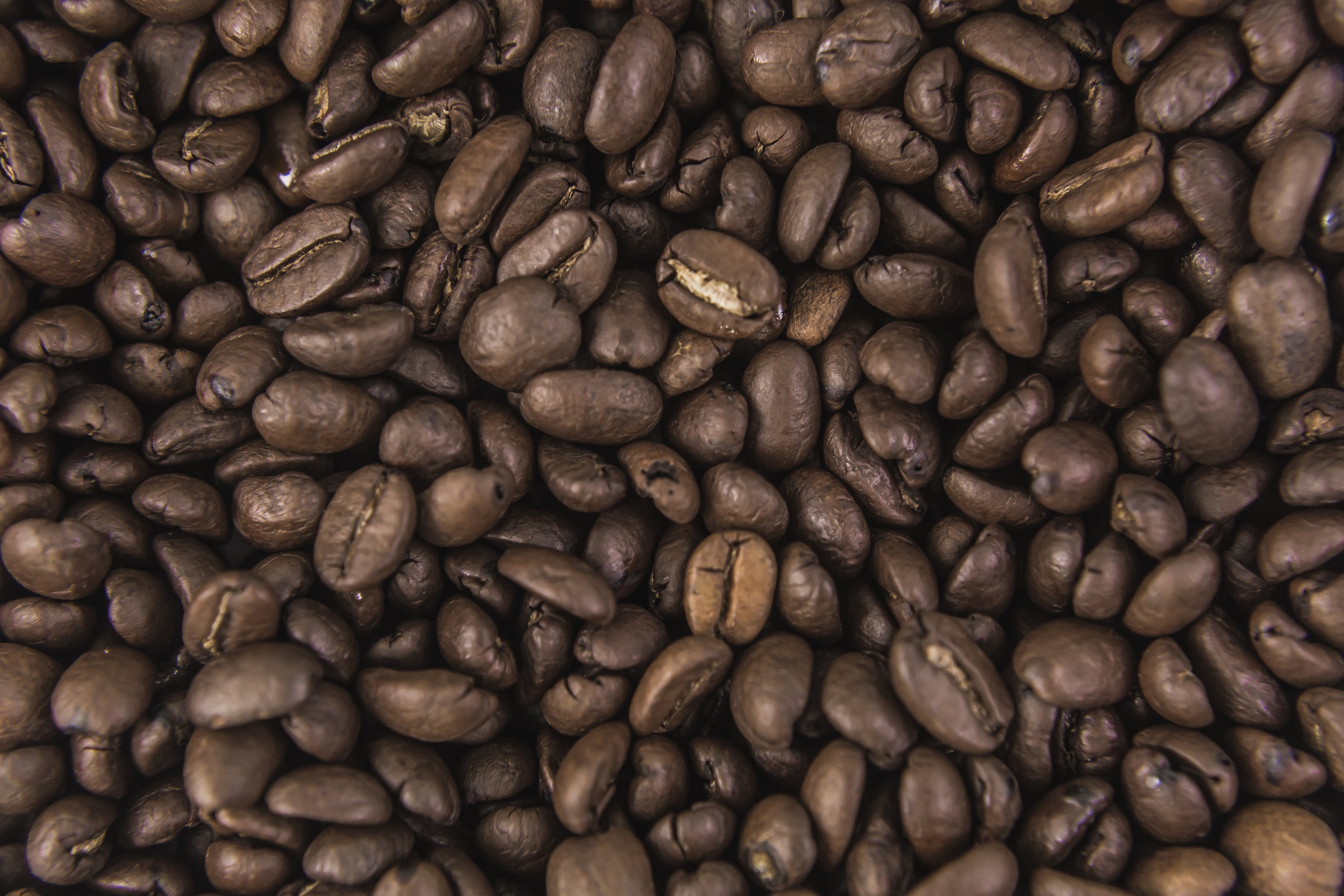 coffee-beans-from-above